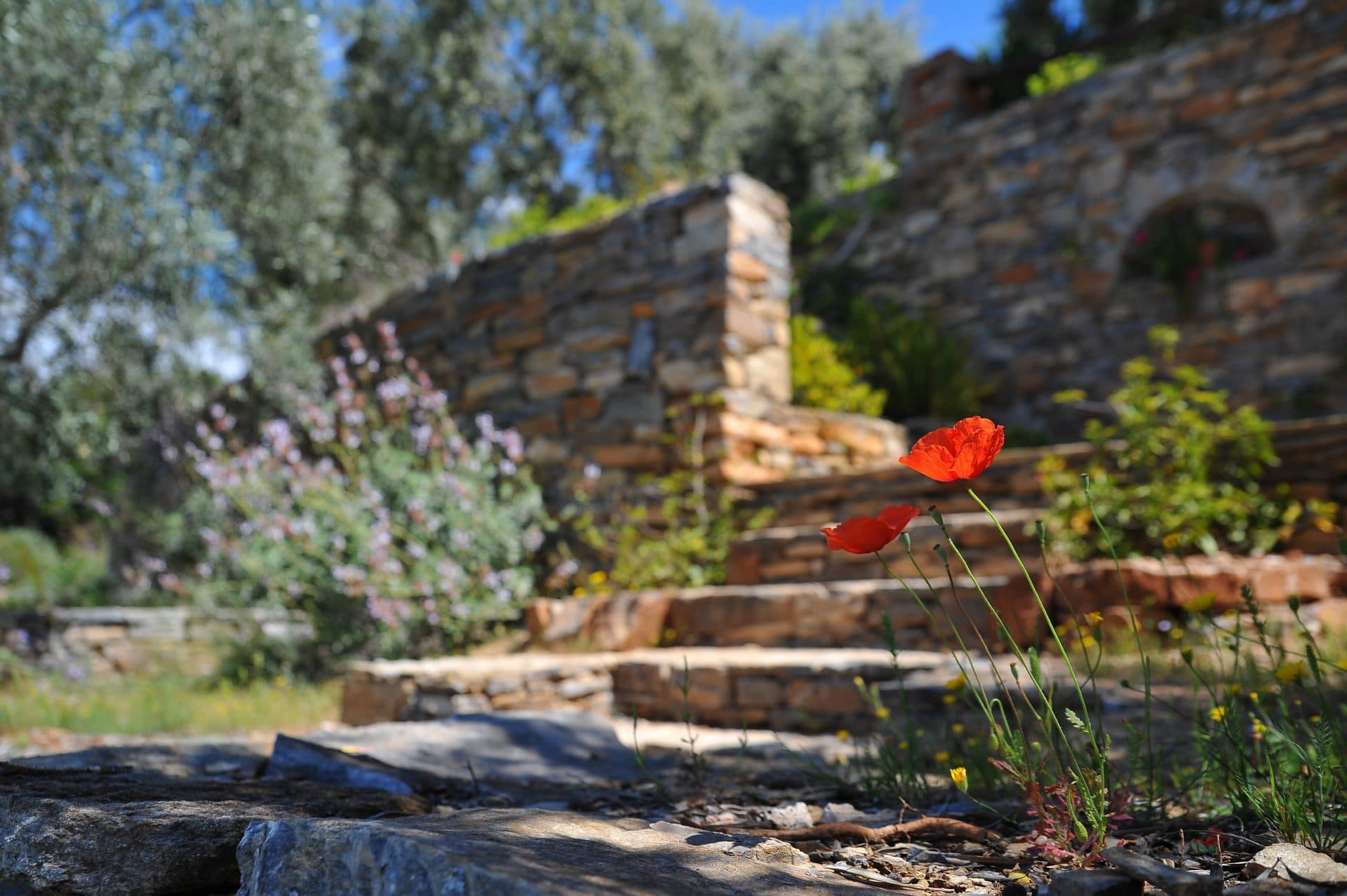 Seasonal Landscape can help you find the perfect retaining wall options for your space.