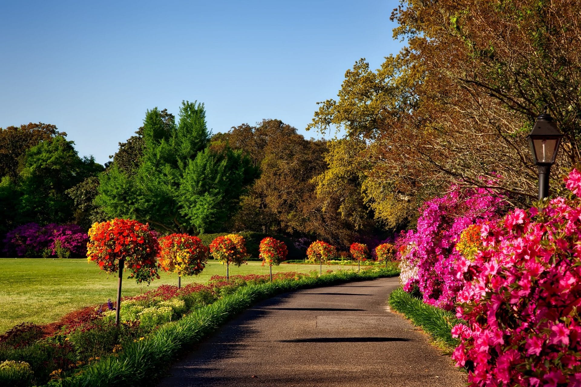 Seasonal Landscape knows the best bushes for your midwest homes.