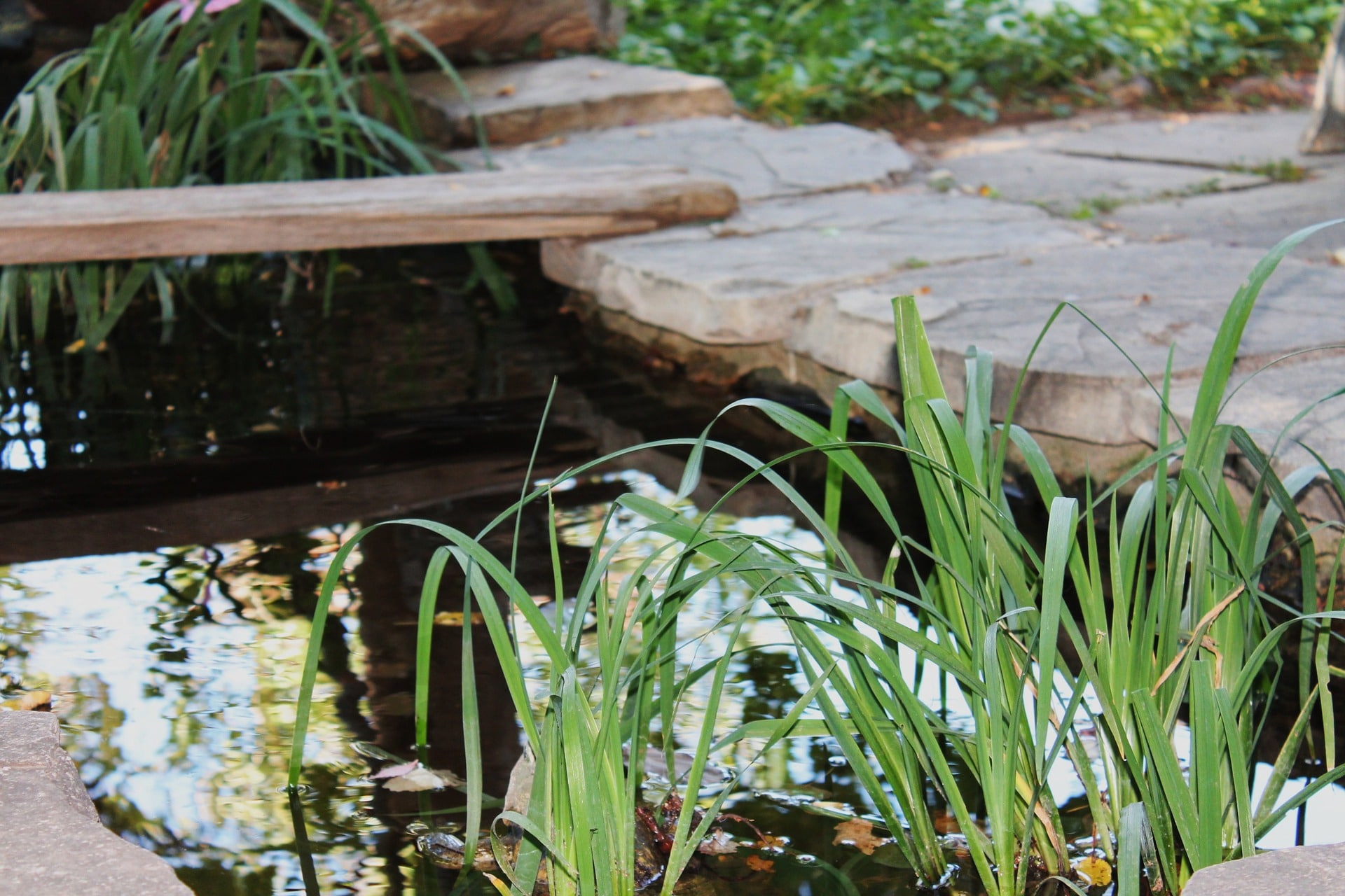 If you want to spruce up your outdoor living space, these 5 examples of beautiful water features are great options to choose from.