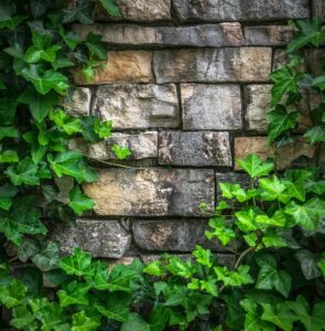 It may be time to consider the creative and beautiful way to save space with retaining walls.
