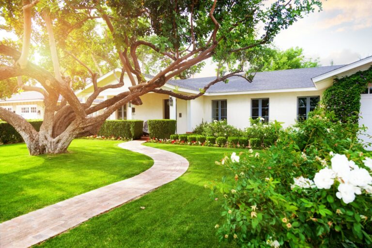 front entrance landscaping